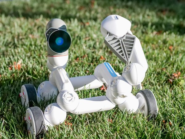 Transforming customer loyalty: how ai is shaping retail loyalty programs in the uk